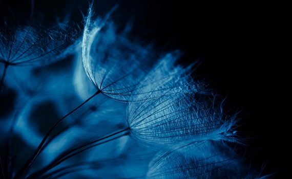 Global Market Outlook: A fragile equilibrium