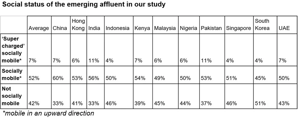 Image of a table showing social status of the emerging affluent in our study