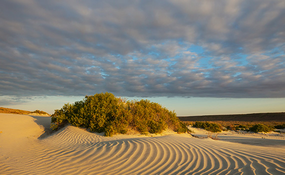 Wealth Insights: Defensive diversification – a bulwark against shifting sands