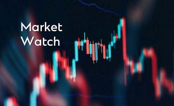Wealth insights: Market Watch