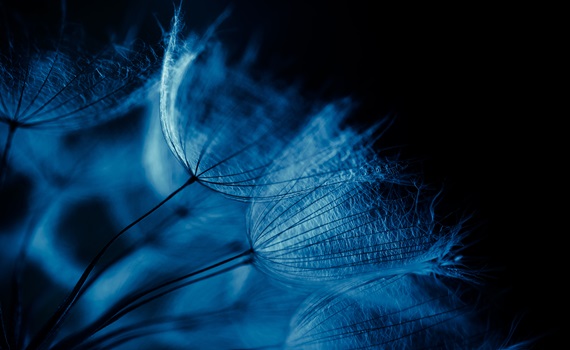 Global Market Outlook: A fragile equilibrium
