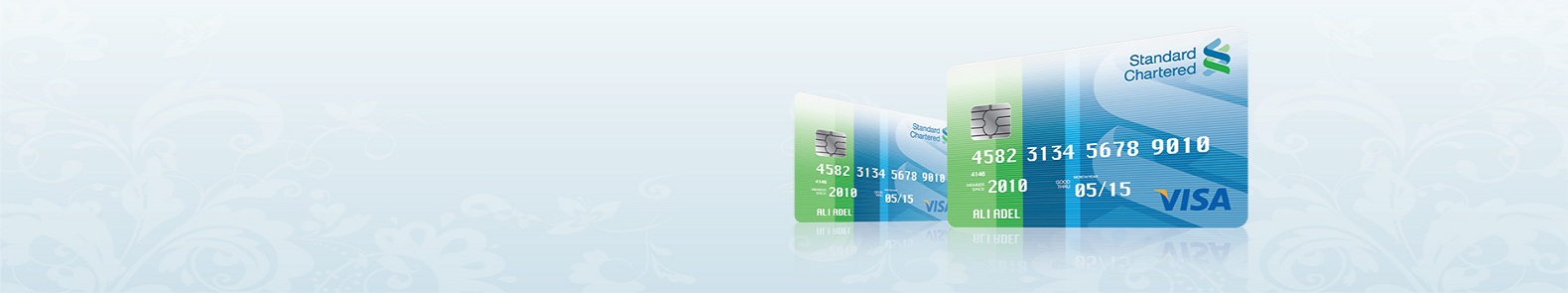 Visa Credit Card