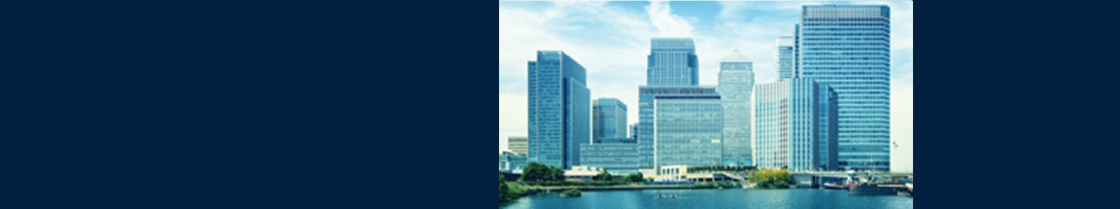 International Banking Services