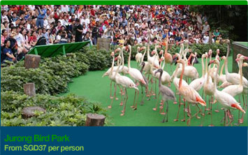 Jurong Bird Park